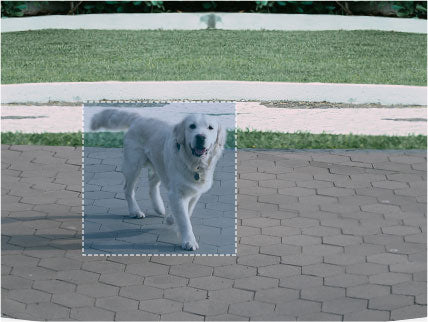 Tapo D130 - Image 32